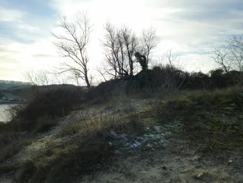 Oostnieuwkerke duinen wandeling in de koude (België)